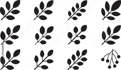 Botanical Plant Elements Vector Set of Leaf Branch Silhouettes Icons