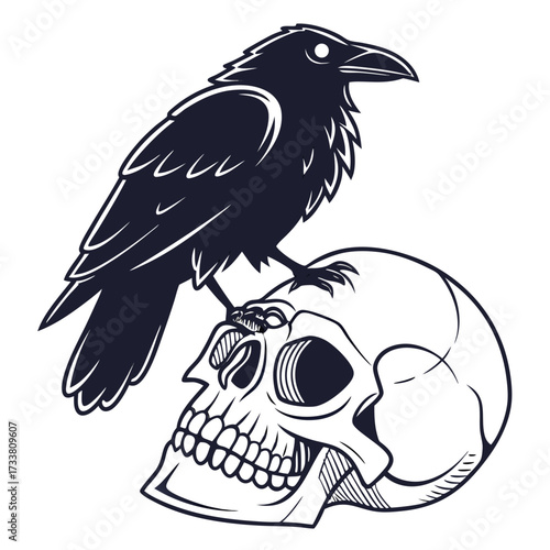 Black raven perched on a human skull crow bird 1
