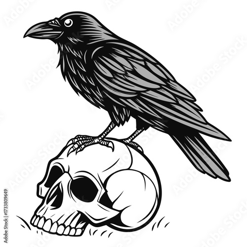 Black raven perched on a white skull with grass crow 1