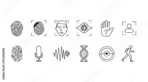 Collection of security and identification icons for digital identity and biometric technology concepts vector