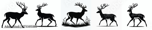 vector black and white silhouette of a deer