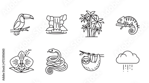 Tropical rainforest icons toucan waterfall bamboo chameleon orchid snake sloth cloud rain sketch vector