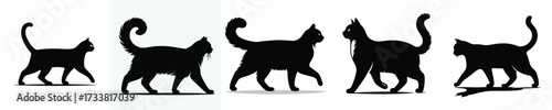 vector black and white silhouette of a cat