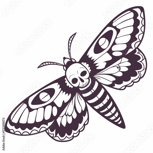 Dark moth with skull pattern on body and wing markings