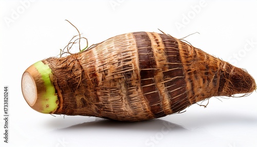 Fresh Taro Isolated On White Background