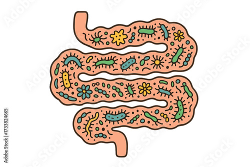 Intestine and gut microbiome concept. Abstract vector illustration of healthy intestinal flora with probiotics and prebiotics. Digestion, anatomy and biology cartoon pattern.