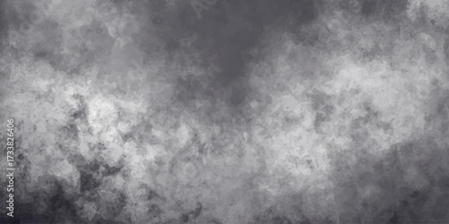 gray and white cloudy sky creates a textured and atmospheric background. soft and diffused atmospheric effect in the image	