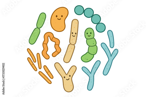 Probiotic bacteria types vector set. Good microbiota with healthy prebiotic bacillus. Lactobacillus, streptococcus, bifidobacteria. Cute gut flora microorganisms illustration.
