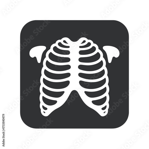 Isolated human chest with rib cage and shoulder blades in simple design. Isolated skeletal image shows bones and thorax structure, anatomical elements.