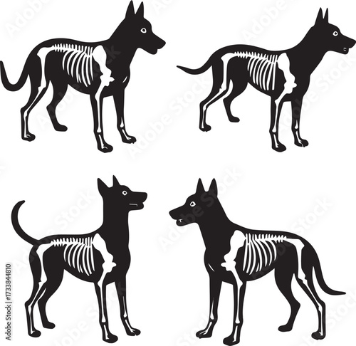 dog skeleton vector illustration