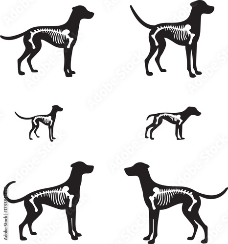 set of silhouettes of animals