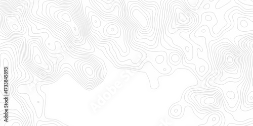 Abstract background with a wave grid map and topography map and seamless pattern with lines White wave paper curved reliefs abstract background, Abstract topographic contours map background.	
