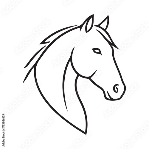 Horse head line art vector illustration equestrian profile portrait, logo-style stallion outline and mane detail design