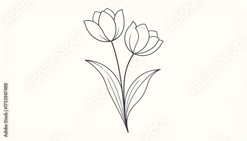 Simple line drawing of two tulips