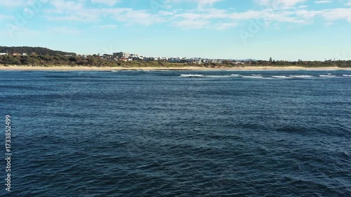 Dolphins at Caves beach Pacific coast of Australia in soft morning light aerial view.