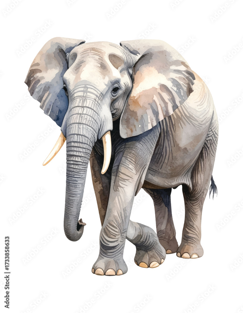 Fototapeta premium Elephant – Hand-Painted Watercolor Vector Illustration