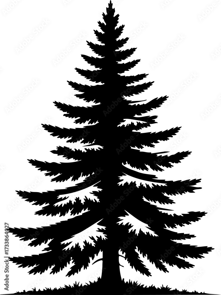 Obraz premium Silhouette of a majestic evergreen tree with detailed branches against a white backdrop