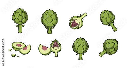 Artichoke cartoon set: whole, halved, and cross-section views