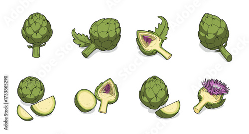 Detailed artichoke variations: whole, halved, sliced, and blooming