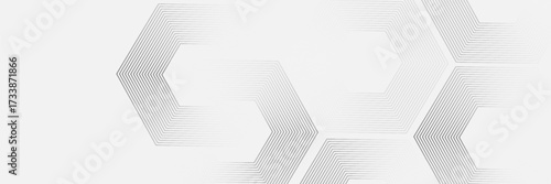 Digital abstract background with hexagon lines on gray background. Futuristic digital network line art design for poster, flyer, cover, website, banner