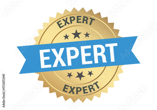 Gold expert badge with blue ribbon and star details displayed