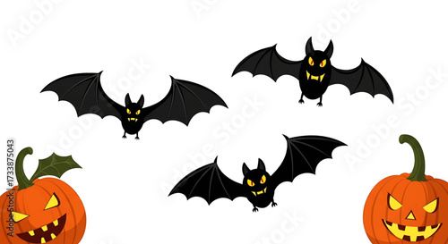 Halloween illustration featuring three spooky black bats flying between two carved pumpkins on a white background.