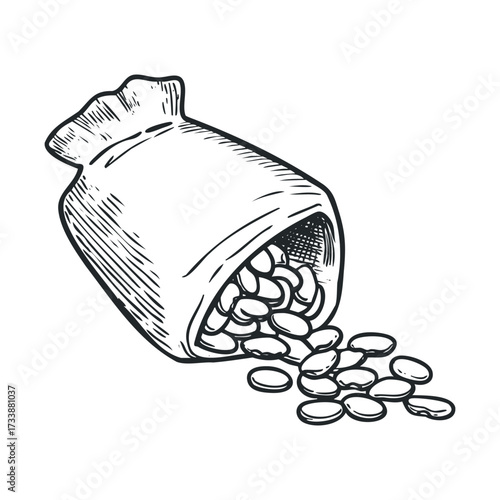 Bag of beans spilling onto a surface for culinary use. Vector hand drawn illustration

