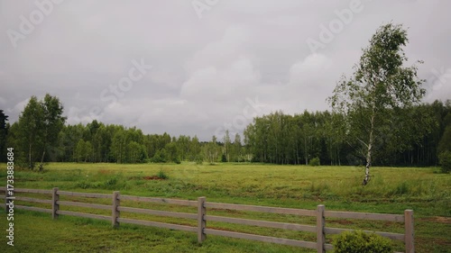 Behind a simple rustic fence, you can see a field and the edge of a forest. Beautiful natural landscape.