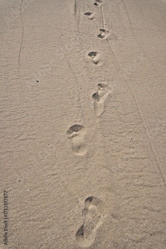 Footprints in the sand at Marina di Castagneto, Tuscany, Italy.
