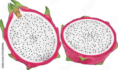 Dragon Fruit (Pitaya)