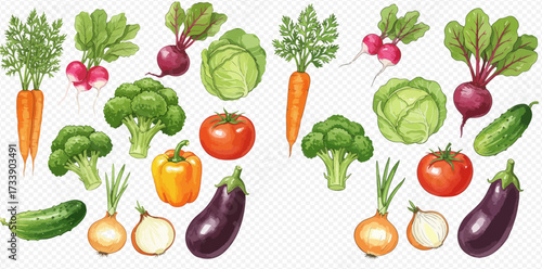 Watercolor illustration of various vegetables including carrots, broccoli, tomatoes, and eggplants arranged in two groups.