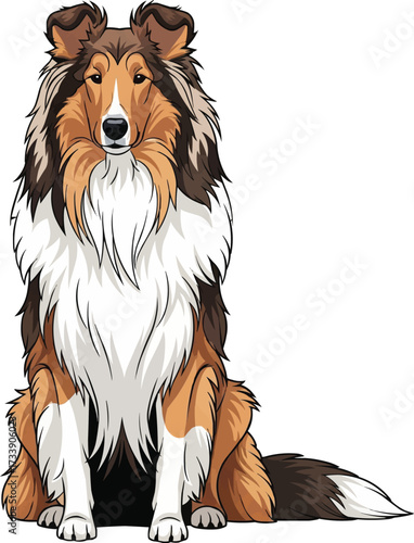 Rough Collie dog sitting facing front cute vector illustration