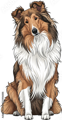 Rough Collie dog sitting curious tilted head vector illustration