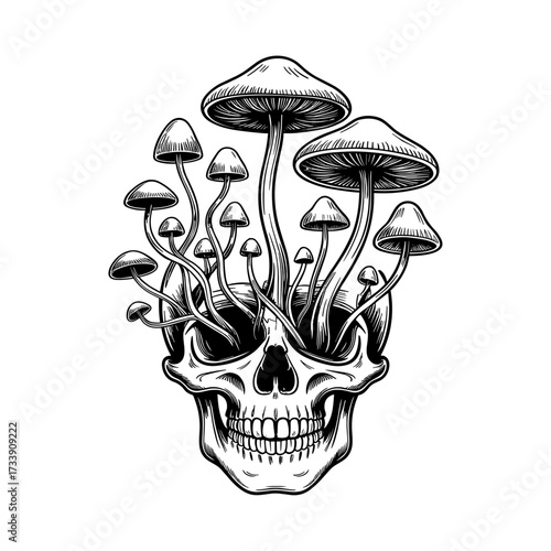 Skull and Vintage Tattoo T-shirt Vector Designs and Edgy, Punk-Inspired Graphics & Retro Tattoo Illustrations for Custom Graphic Tees-06