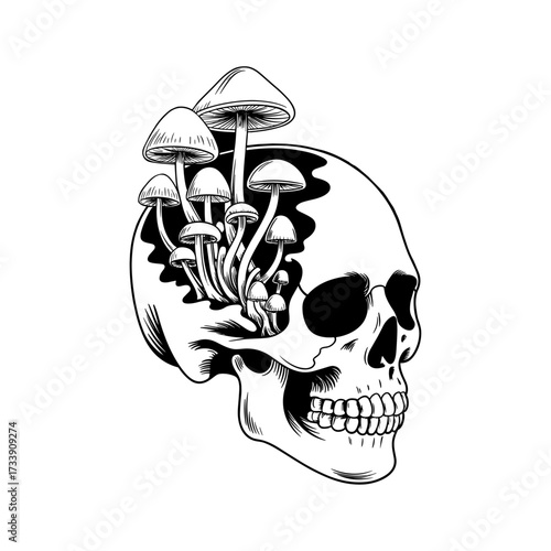 Skull and Vintage Tattoo T-shirt Vector Designs and Edgy, Punk-Inspired Graphics & Retro Tattoo Illustrations for Custom Graphic Tees-08