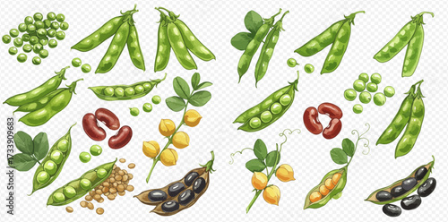 Illustration of various legumes including peas, beans, and lentils in pods and loose.