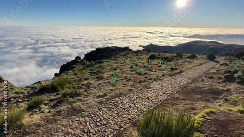 Mountain Trail Above Clouds