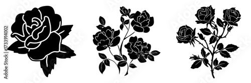 Diseño moderno de flores de línea negra sobre fondo blanco con rosas en ilustración de línea en blanco y negro