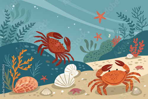 Featuring Crabs And Shells Sea Floor Bold Marine Vibrant Professional Photo