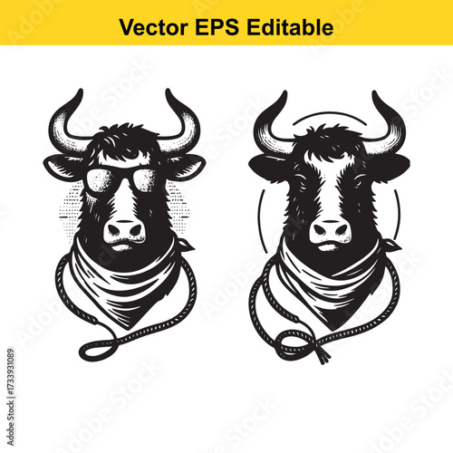 Two bull heads, one wearing sunglasses, isolated on white background