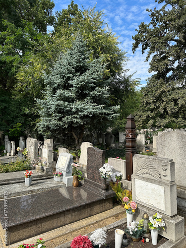 Tombstones in the public cemetery