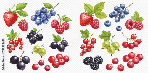 A vibrant assortment of berries, including strawberries, blueberries, raspberries, blackcurrants, gooseberries, and redcurrants, creating a colorful and appetizing display.