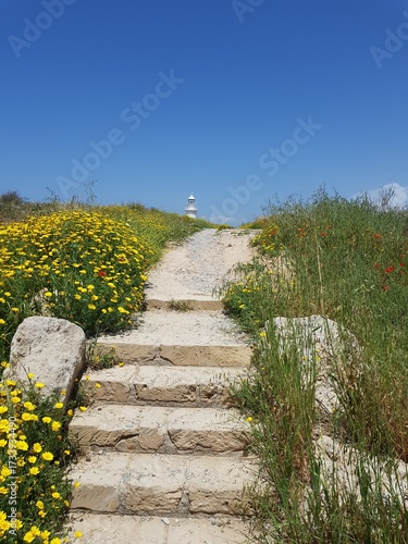 Stone steps leading up through wildflowers to a lighthouse under a clear blue sky