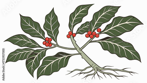 Illustration of a coffee plant with green leaves, red berries, and exposed roots, isolated on white created with generated ai