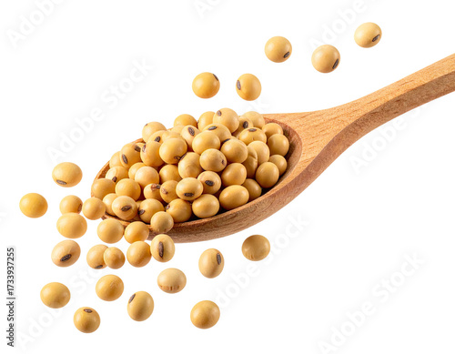 Wooden spoon brimming with golden soybeans, spilling onto a black background