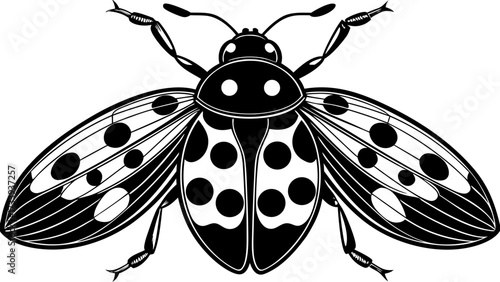 Illustration of a ladybug with detailed wings and spots in black and white monochrome style art work created with generated ai