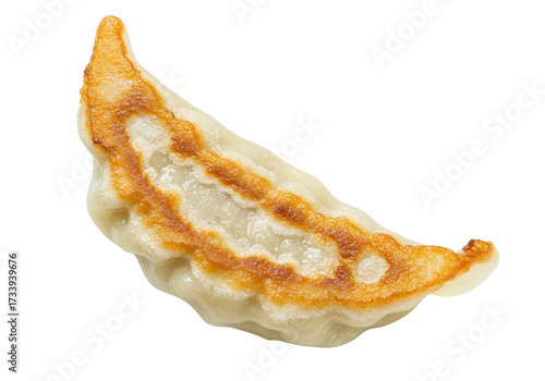 фотографія Delicious pan-fried gyoza dumpling isolated on transparent background, Japanese