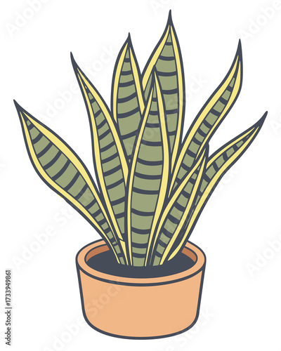 A stylized snake plant (Sansevieria) in a terracotta pot. The plant has tall, upright green leaves with dark green stripes and yellow edges, arranged densely in the soil. It's a popular.