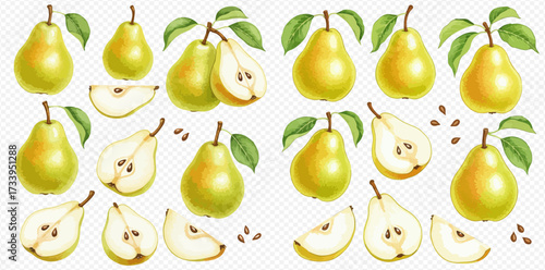 Illustration of pears, some whole, some sliced, with leaves and seeds.