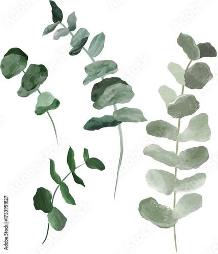Watercolor eucalyptus in set of 4 branches useful for different purposes.
